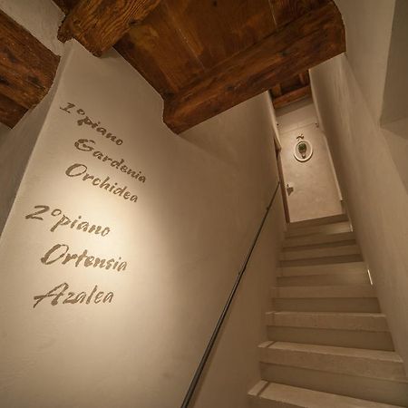 Dimora Corteinfiore Trani Kültér fotó